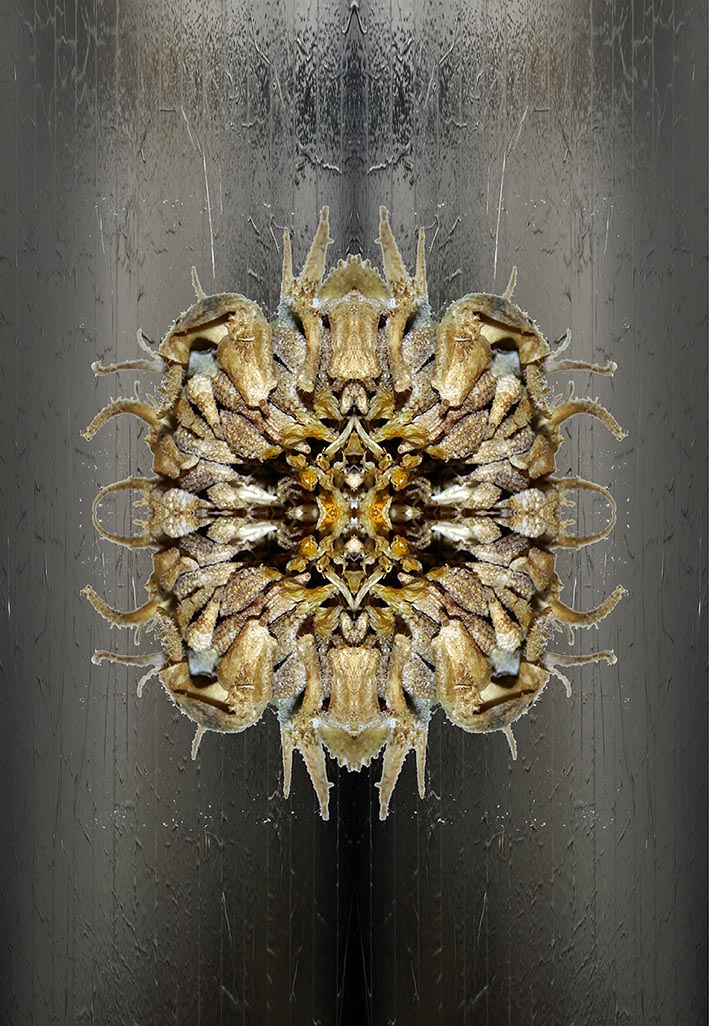 Artworks - Elizabeth de Monchaux
